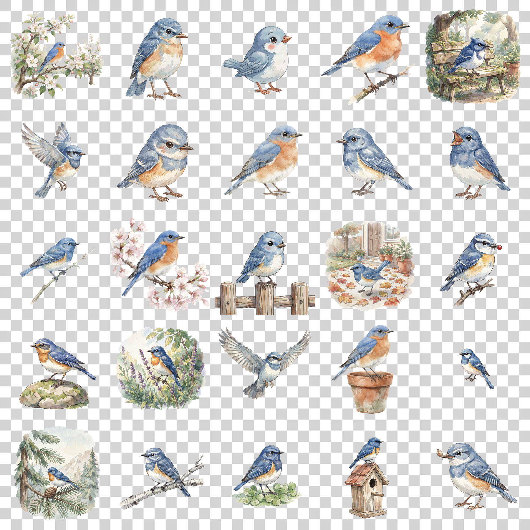 bluebird-transparent.png