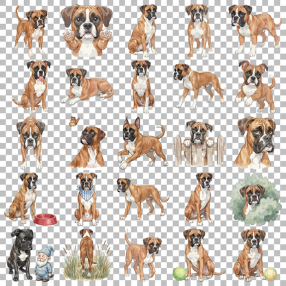 boxer-transparent.png