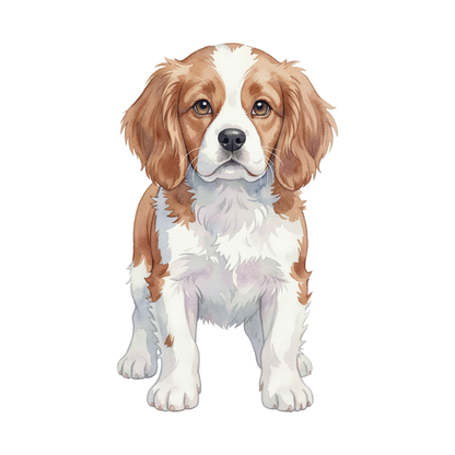 bretonischer-spaniel-einzel-3.png