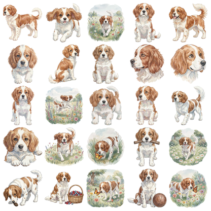 bretonischer-spaniel-titelbild.png