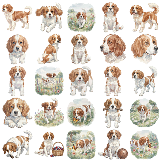 bretonischer-spaniel-titelbild.png