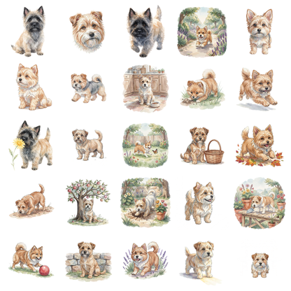 cairn-terrier-titelbild.png