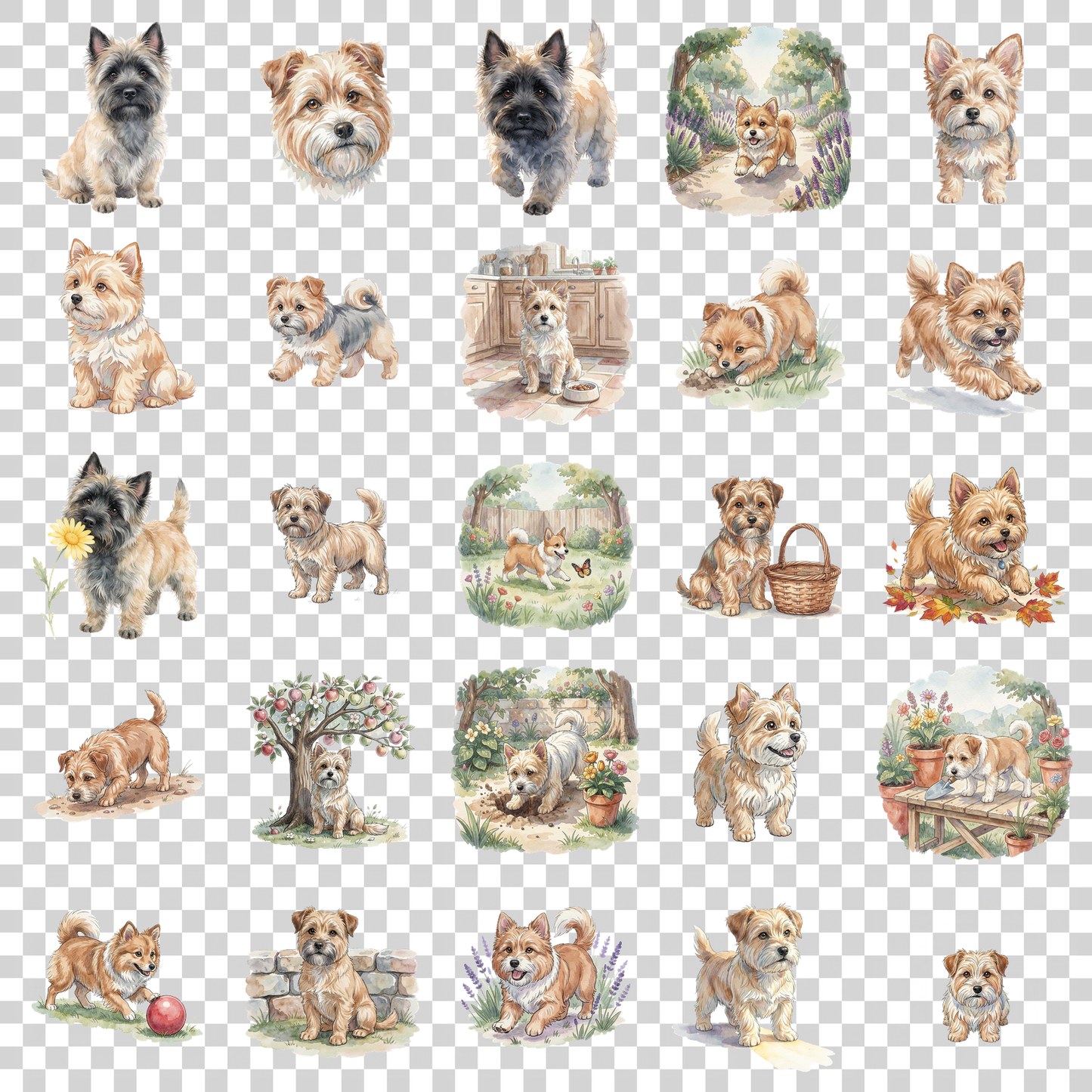 cairn-terrier-transparent.png
