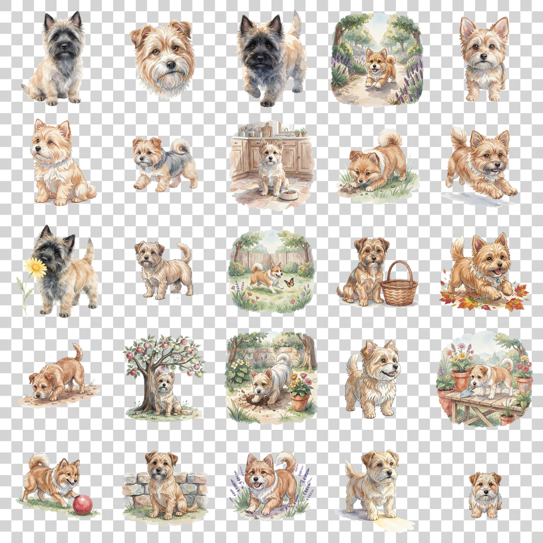 cairn-terrier-transparent.png