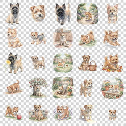 cairn-terrier-transparent.png