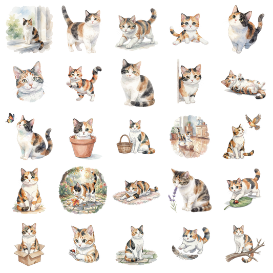 calico-cat-titelbild.png