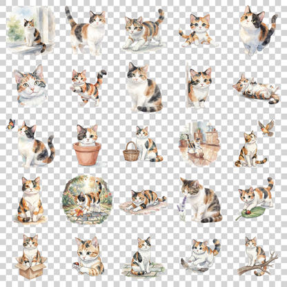 calico-cat-transparent.png