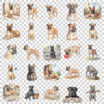 cane-corso-transparent.png
