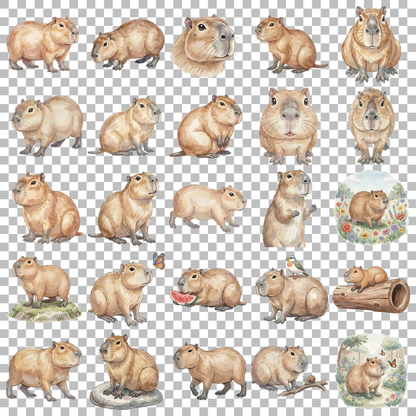 capybara-transparent.png