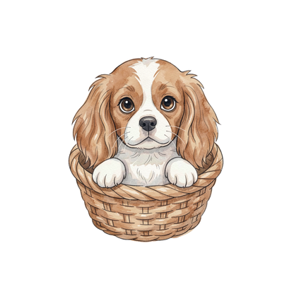 cavalier-king-charles-spaniel-einzel-3.png