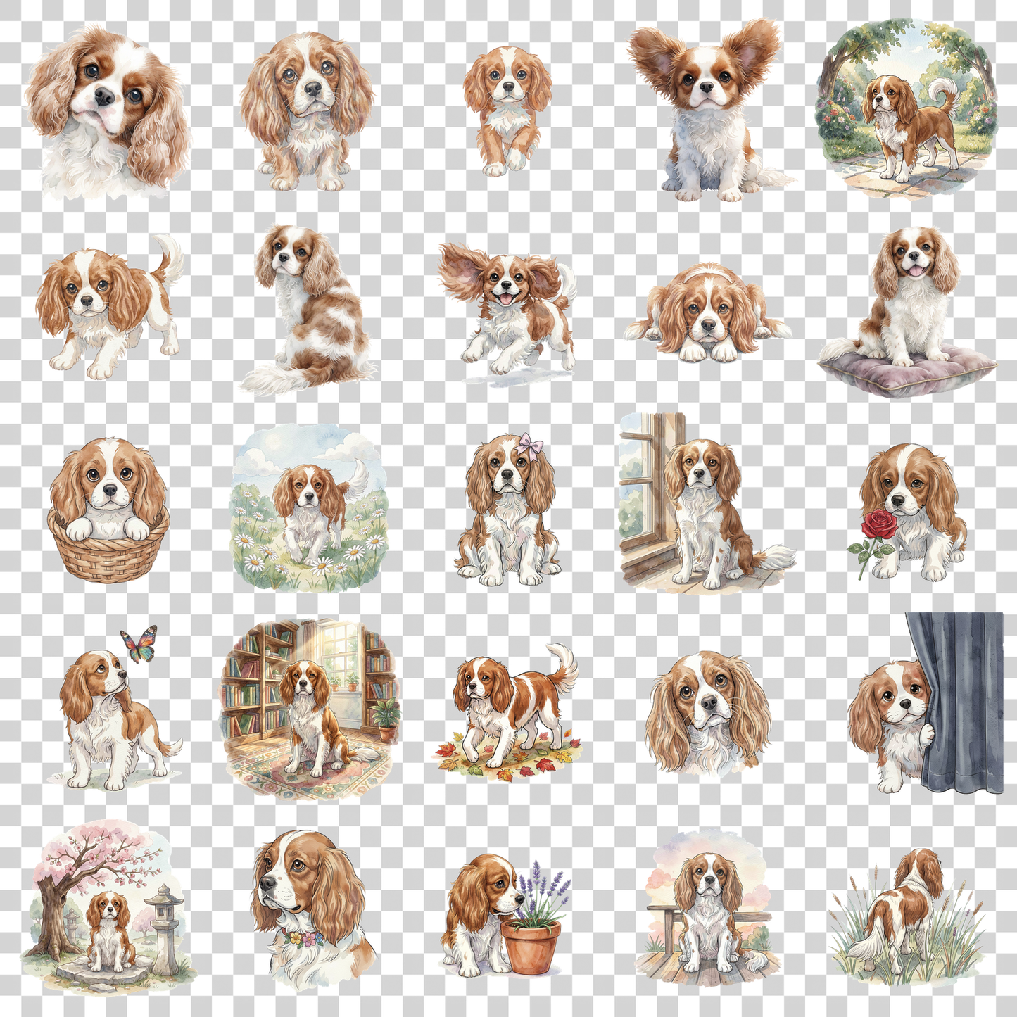 cavalier-king-charles-spaniel-transparent.png