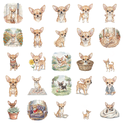 chihuahua-titelbild.png