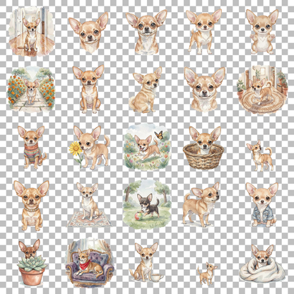 chihuahua-transparent.png