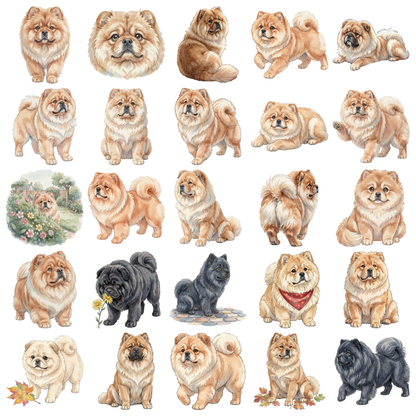 chow-chow-titelbild.png
