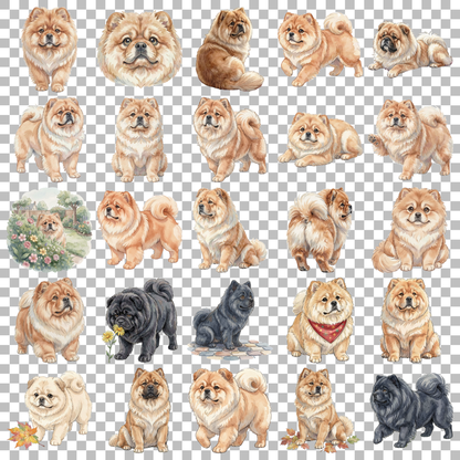 chow-chow-transparent.png