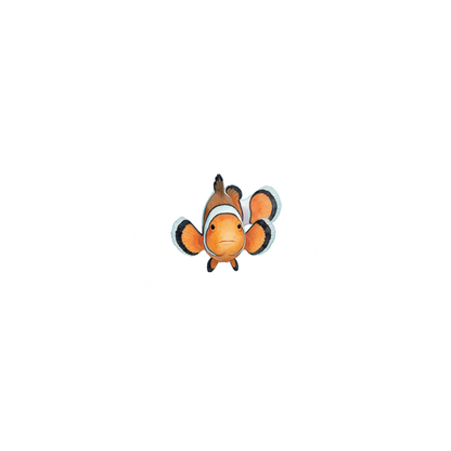clownfisch-einzel-1.png