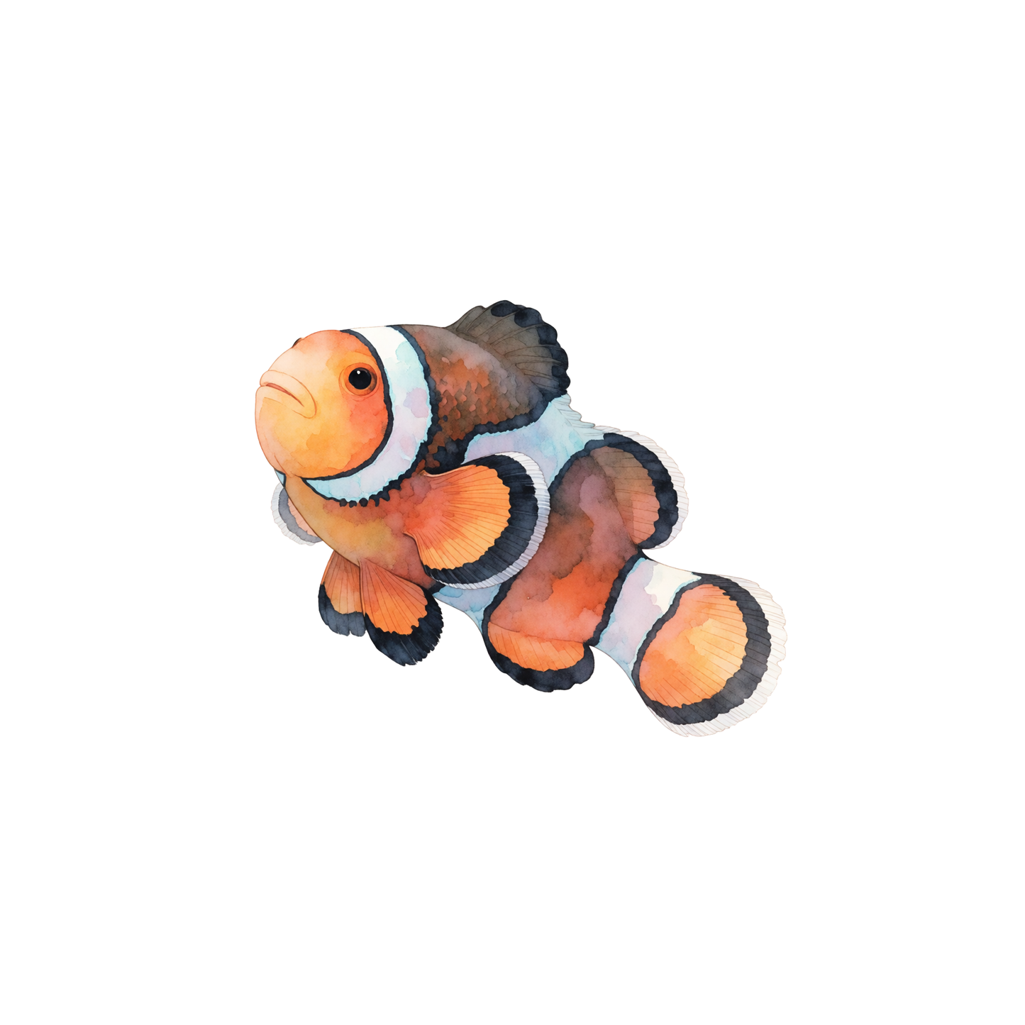 clownfisch-einzel-2.png