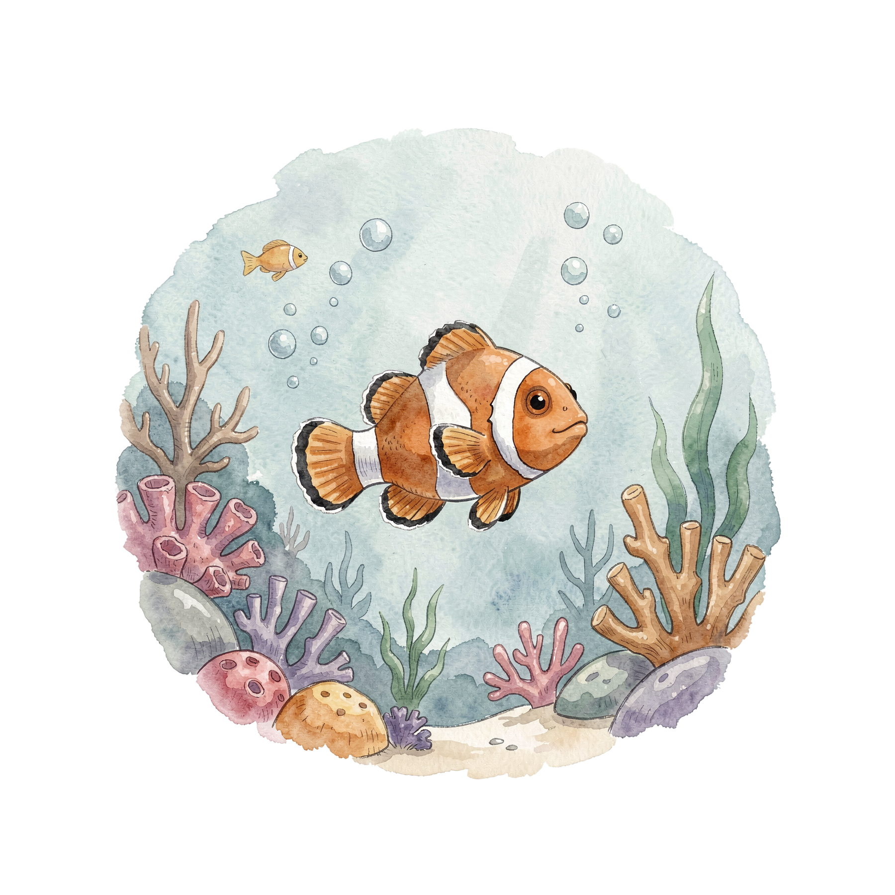 clownfisch-einzel-3.png