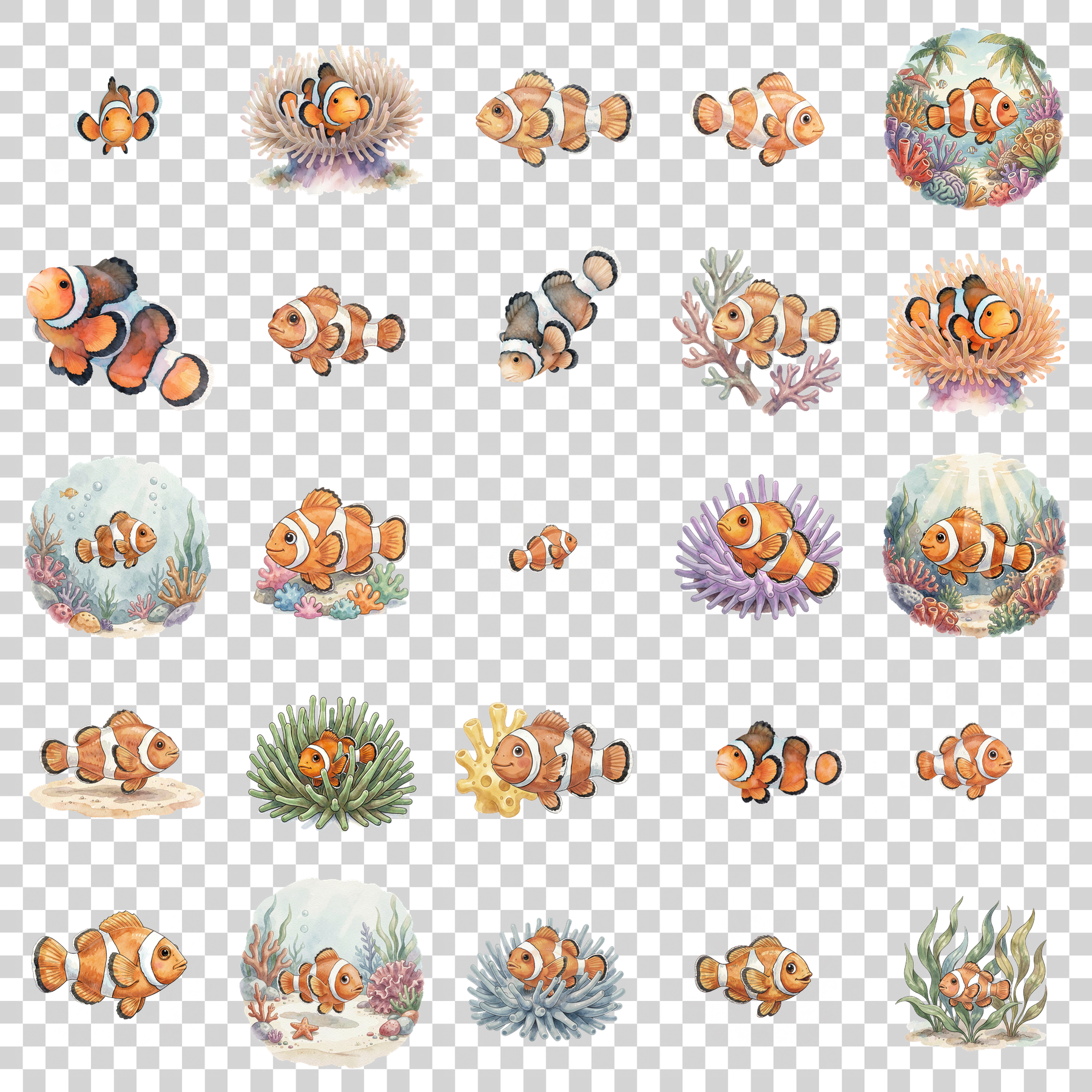 clownfisch-transparent.png