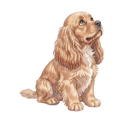 cocker-spaniel-einzel-3.png