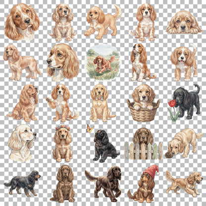 cocker-spaniel-transparent.png