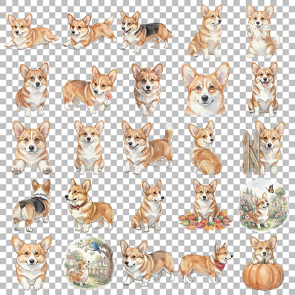 corgi-transparent.png