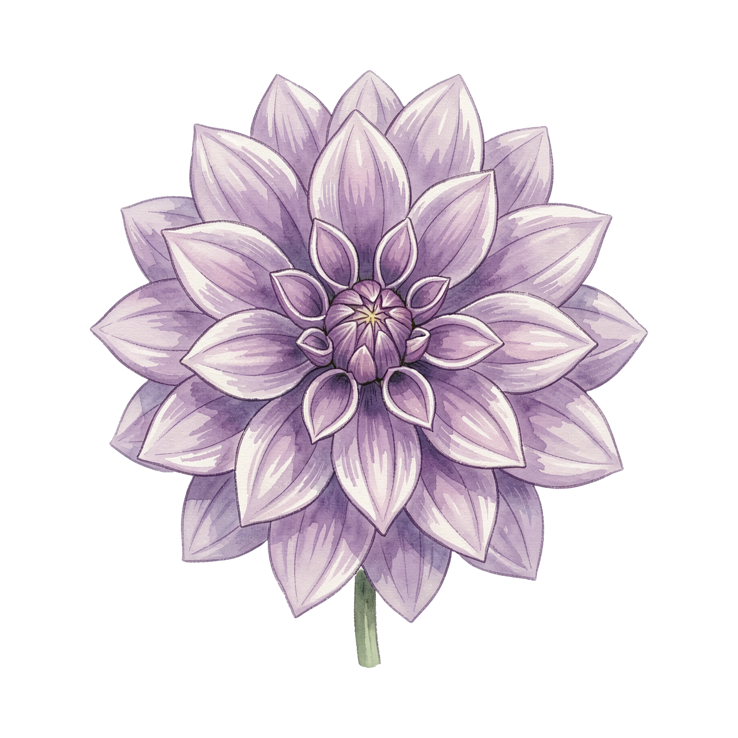dahlien-einzel-3.png