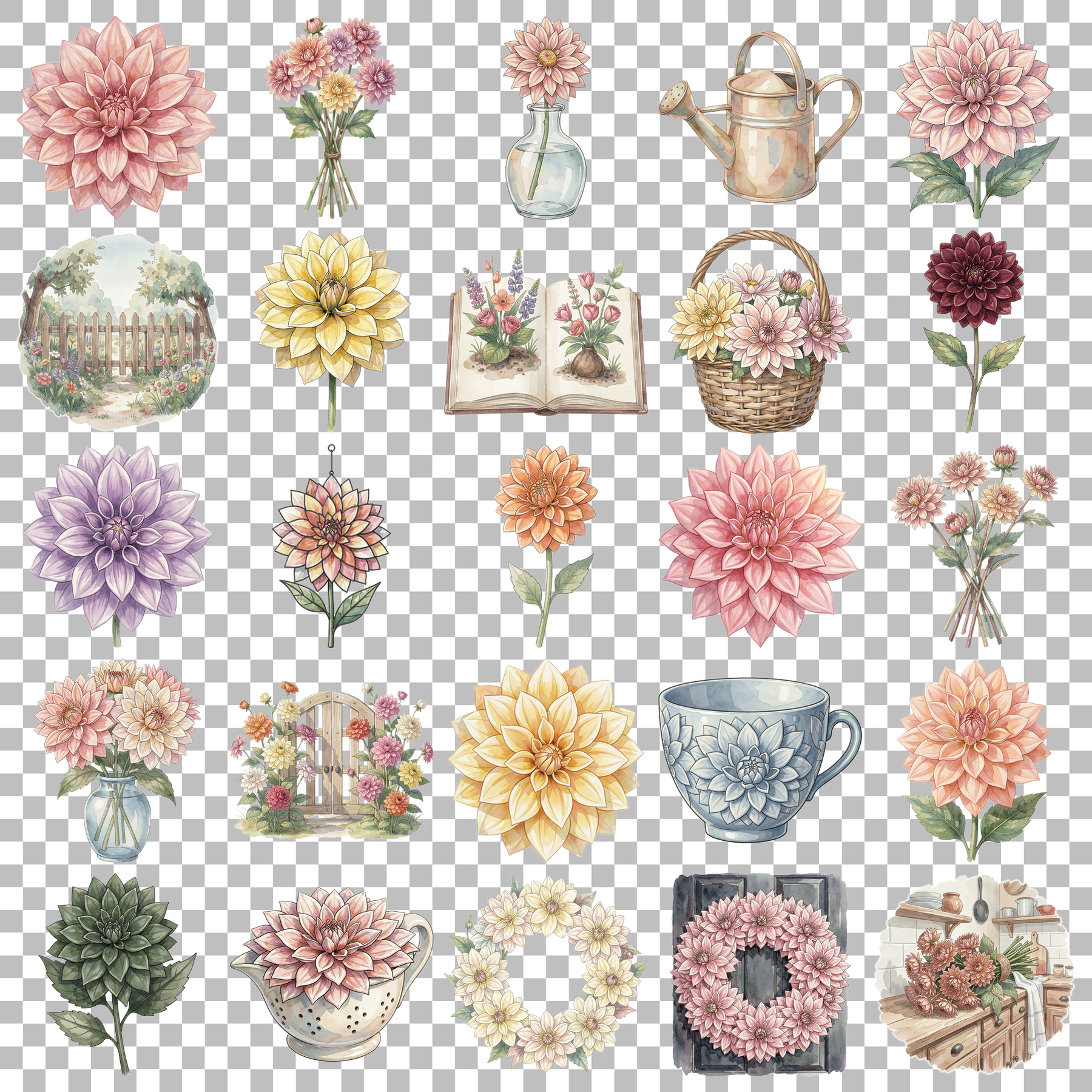 dahlien-transparent.png