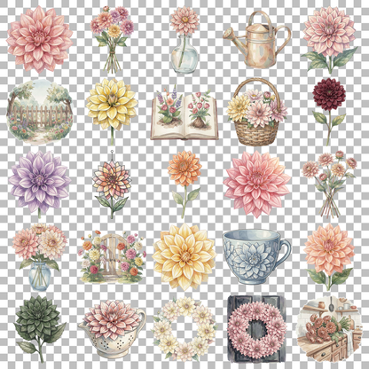 dahlien-transparent.png