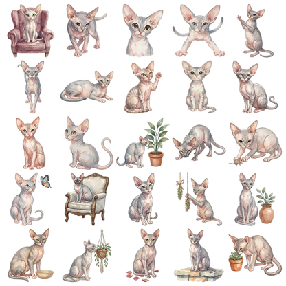 devon-rex-titelbild.png