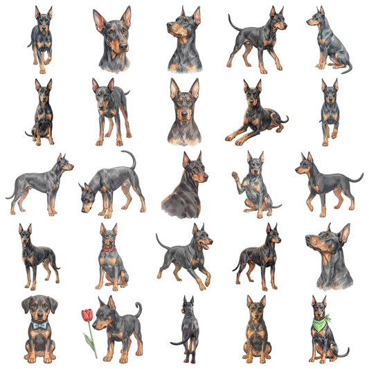 doberman-titelbild.png