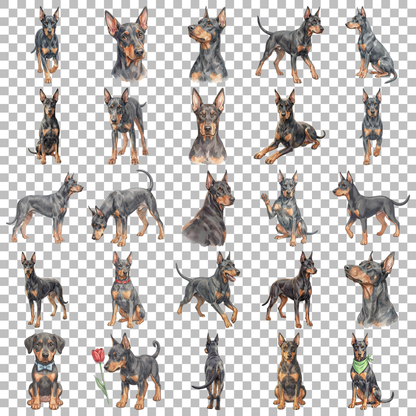 doberman-transparent.png