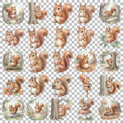 eichhoernchen-transparent.png
