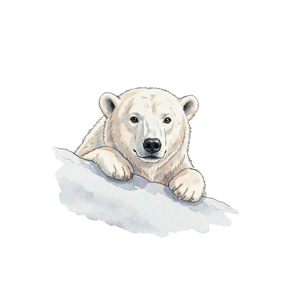 eisbaer-einzel-5.png