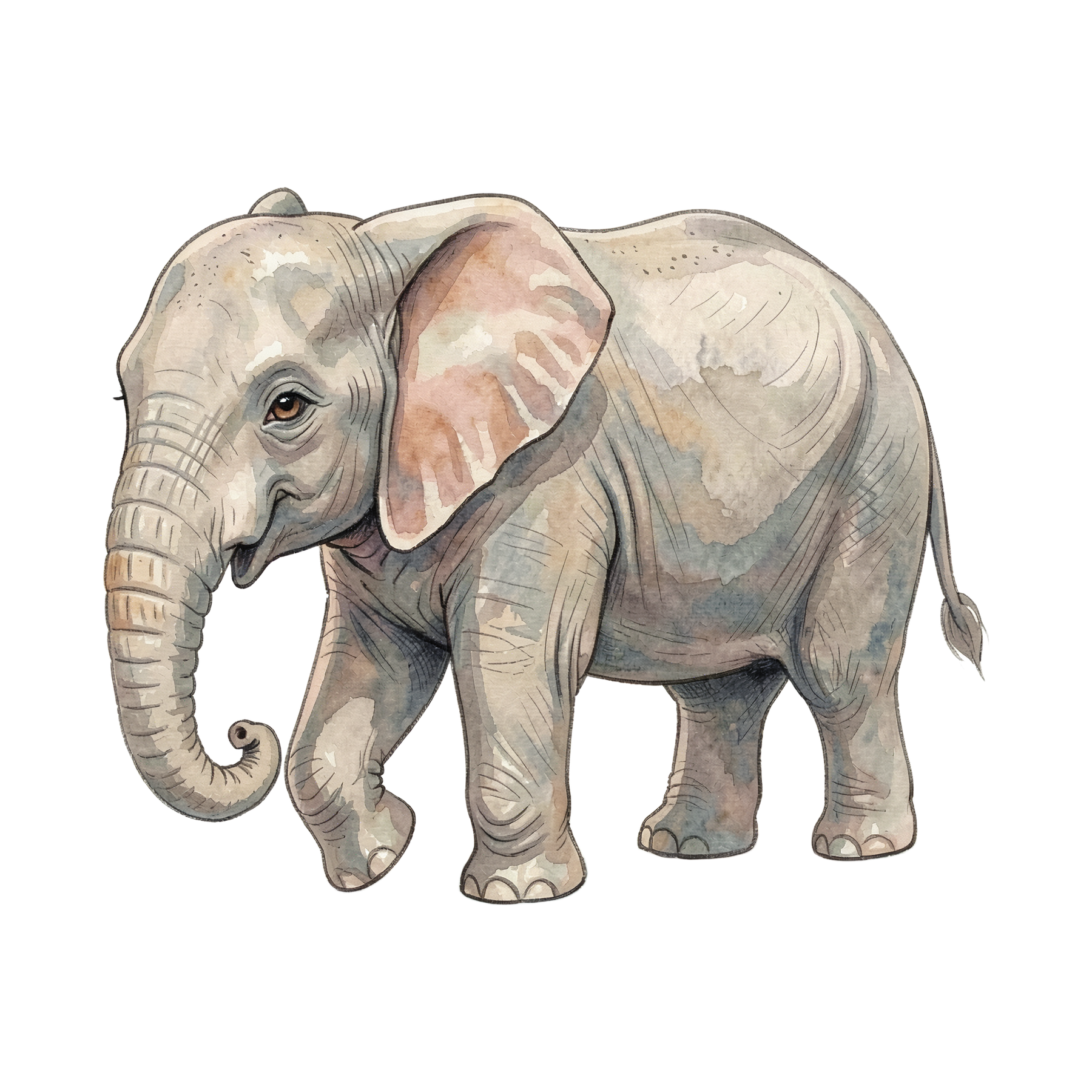 elefant-einzel-2.png