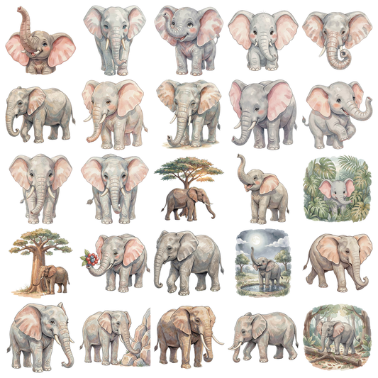 elefant-titelbild.png