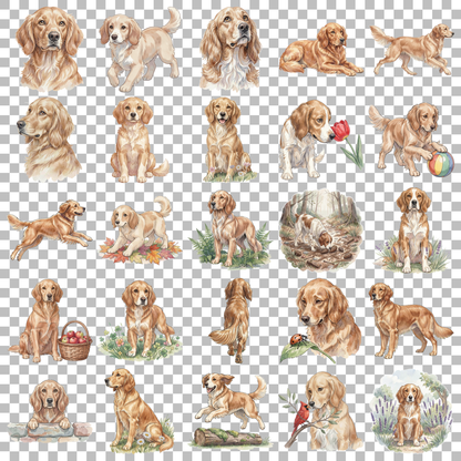 englisch-setter-transparent.png