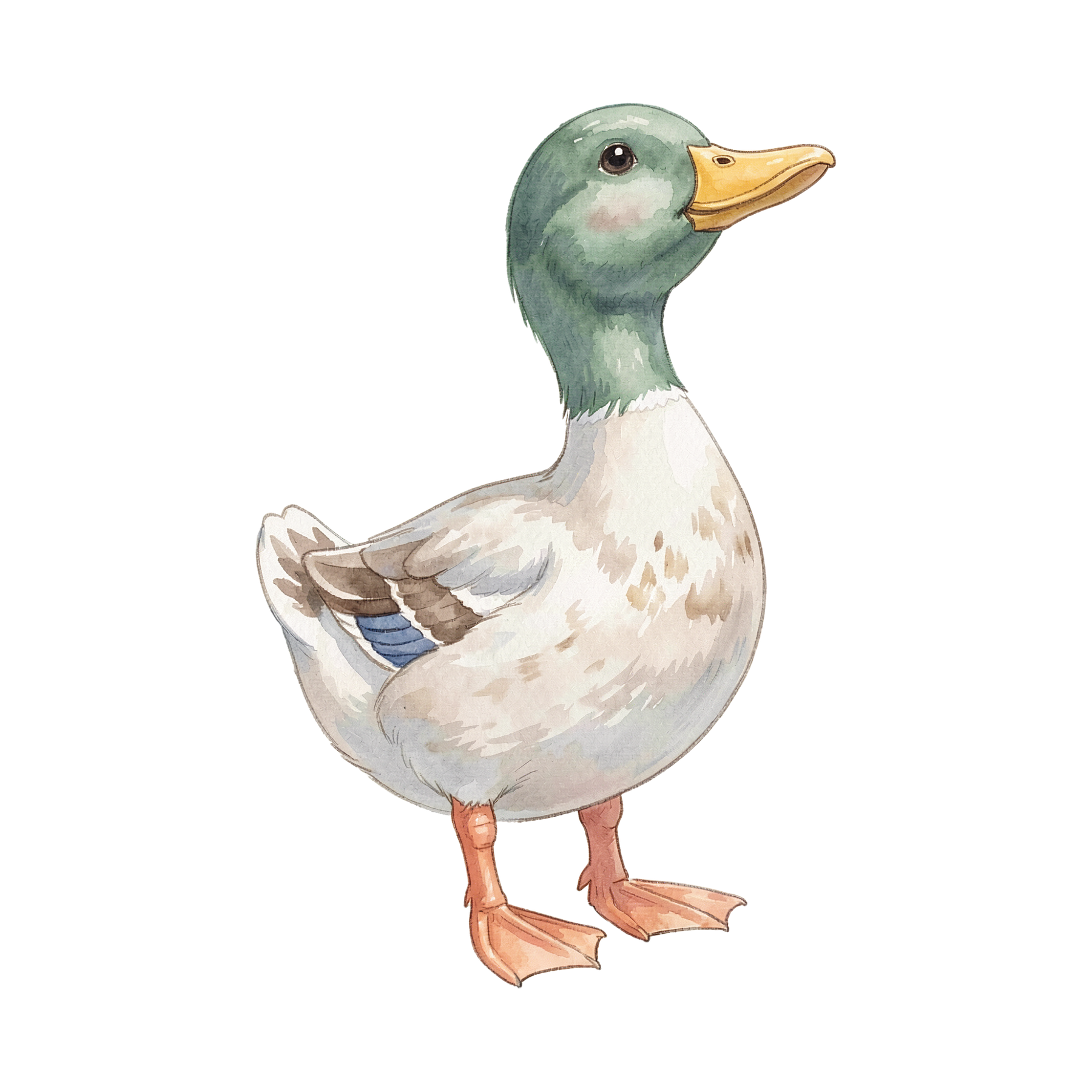 ente-einzel-2.png