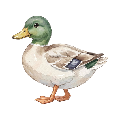 ente-einzel-4.png