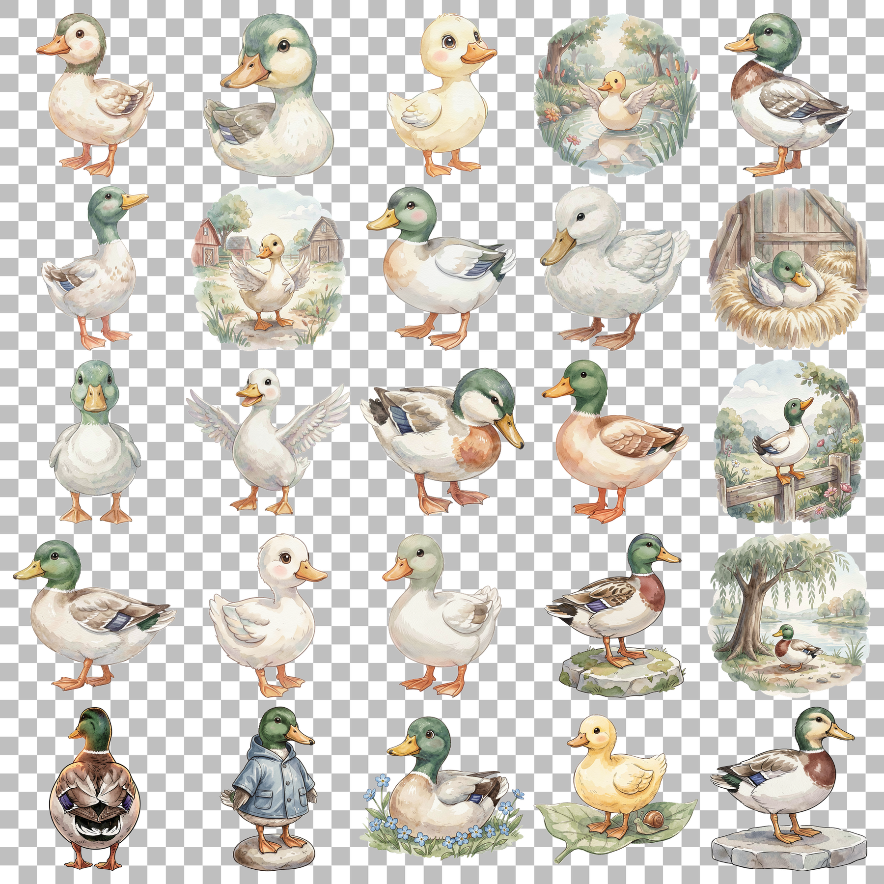 ente-transparent.png