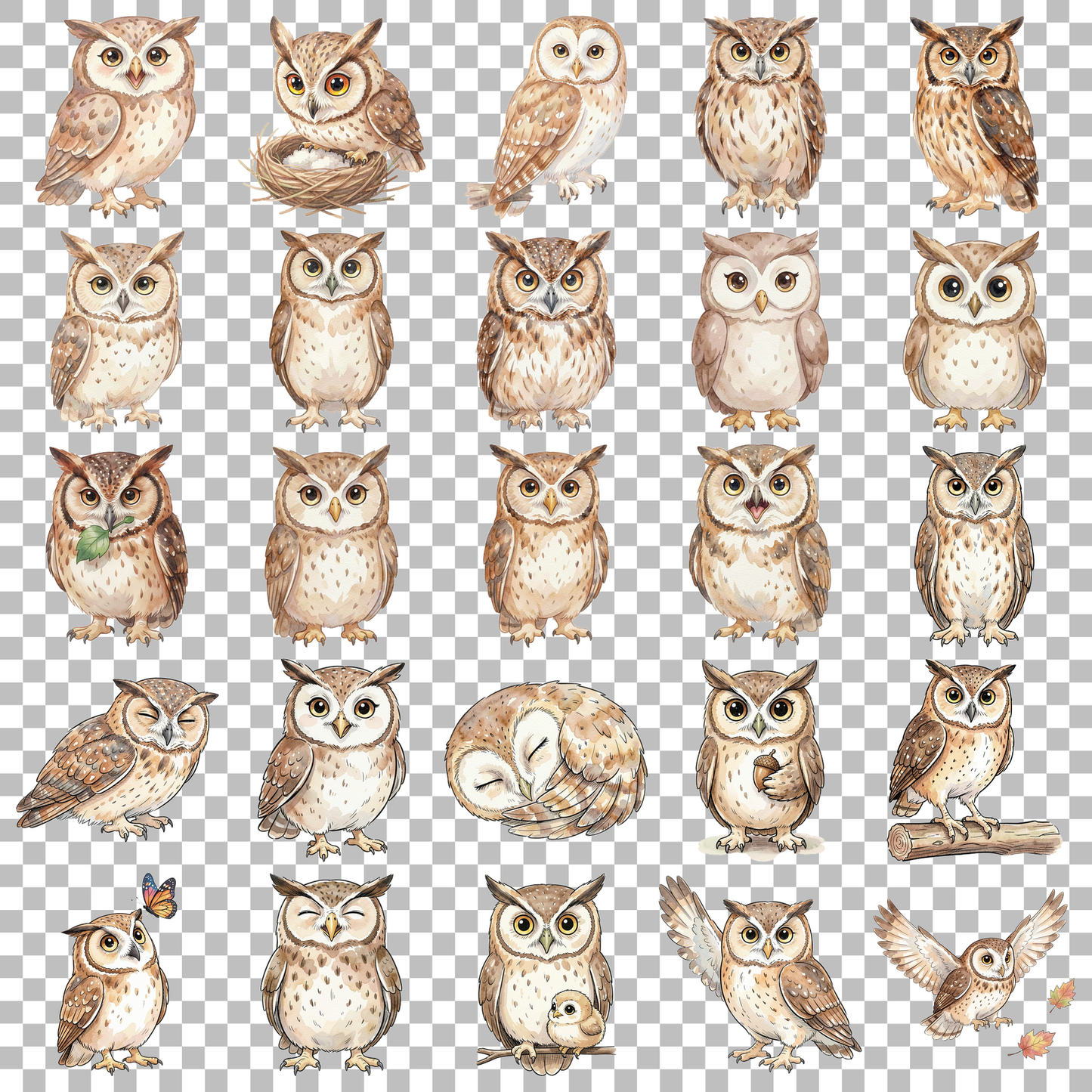 eule-transparent.png