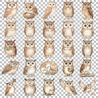 eule-transparent.png