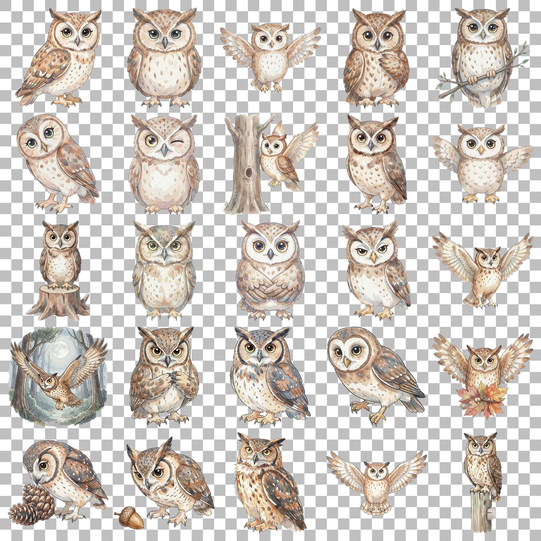 eule-transparent.png