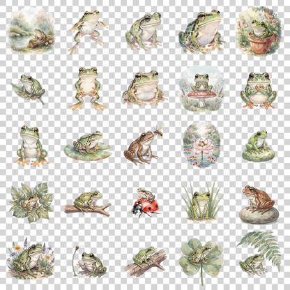 frosch-transparent.png