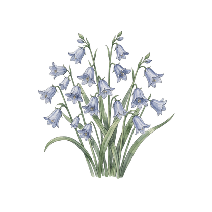 frühlingswiese-einzel-4.png