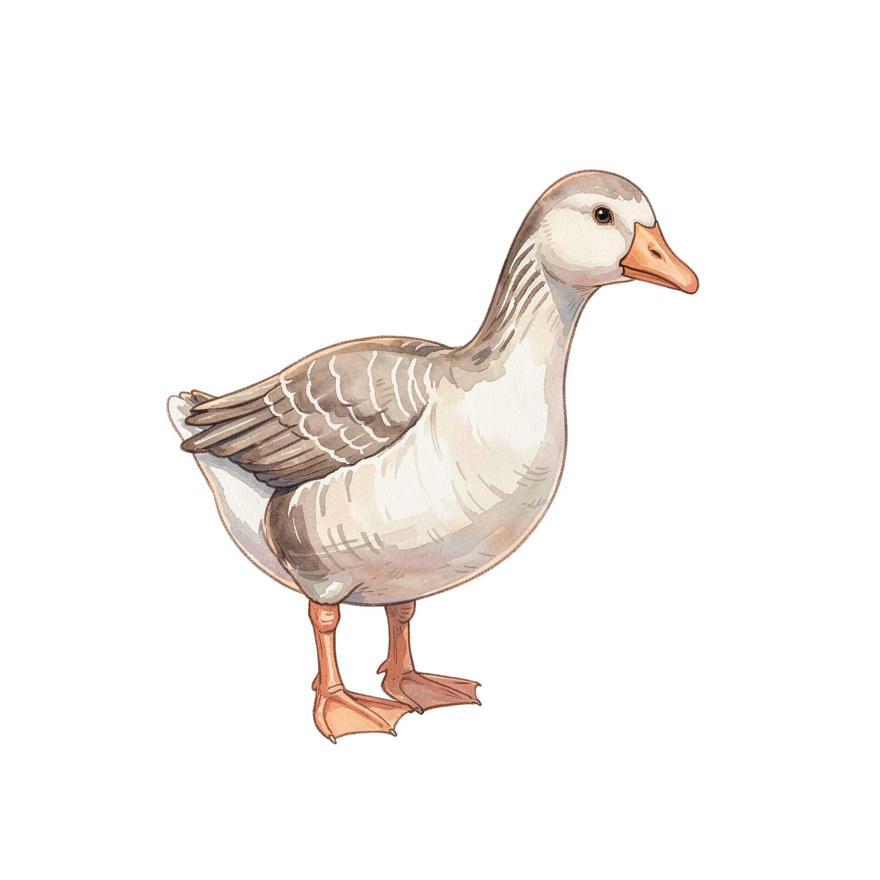 gans-einzel-2.png