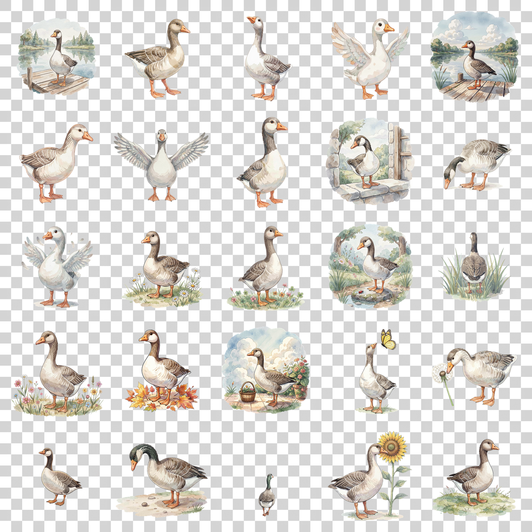 gans-transparent.png