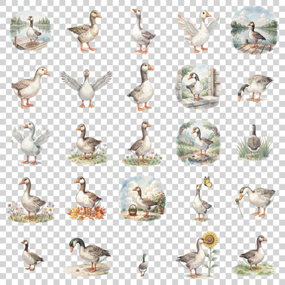 gans-transparent.png