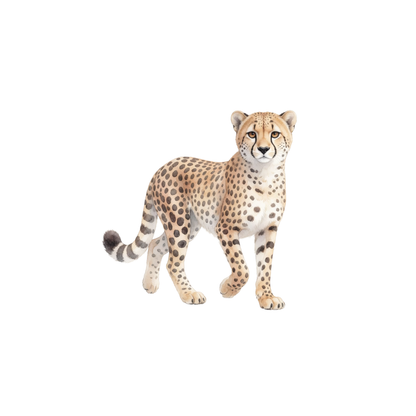 gepard-einzel-1.png