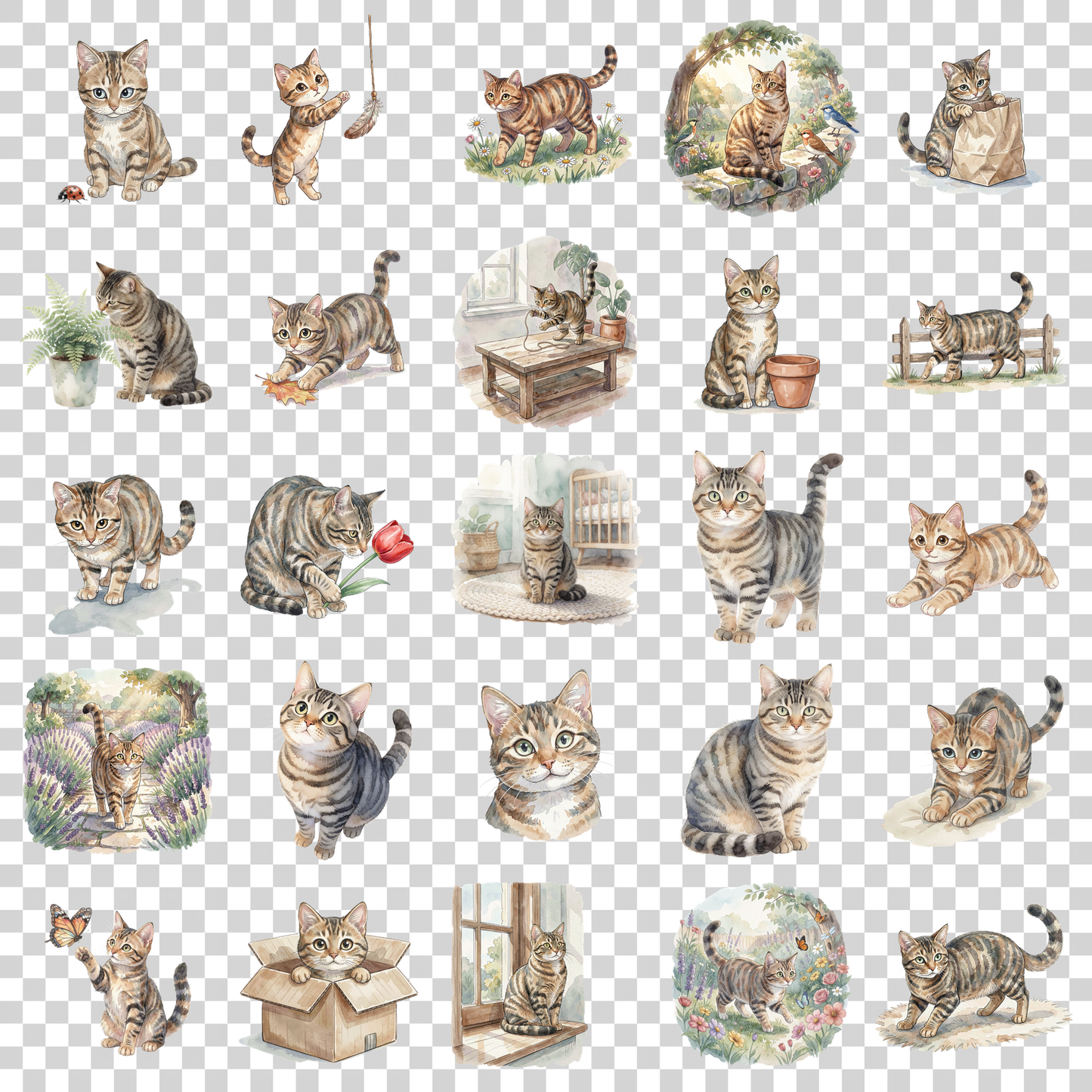 getigerte-katze-transparent.png